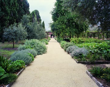 pathway through a garden landscape with greenery and plants