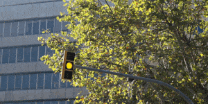 Seat León - asistente semáforos