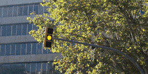Seat León - asistente semáforos