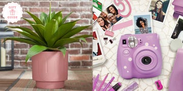 walmart planter and camera