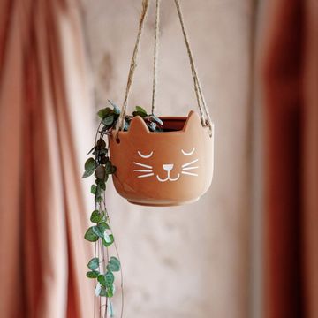 the best gifts for cat lovers