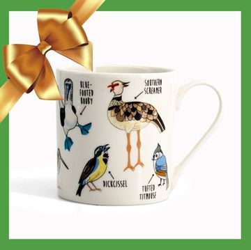 gifts for bird lovers two green boxes left box with gold bow and bird fowl language mug inside right box needlepoint bird set