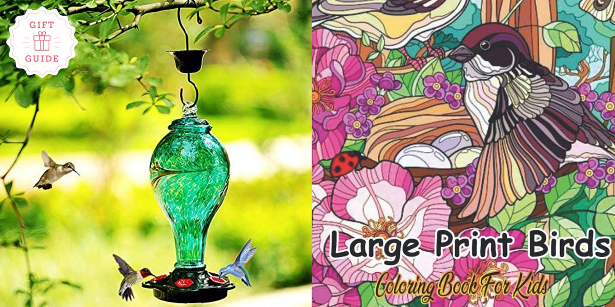 bird feeder and bird coloring book