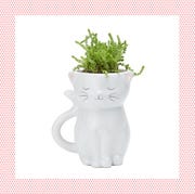 gifts for cat lovers gifts for cat lovers