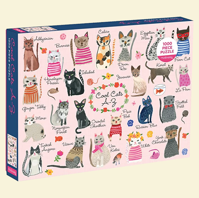 35 Unique Gifts for the Cat Lovers in Your Life - Buy Side from WSJ