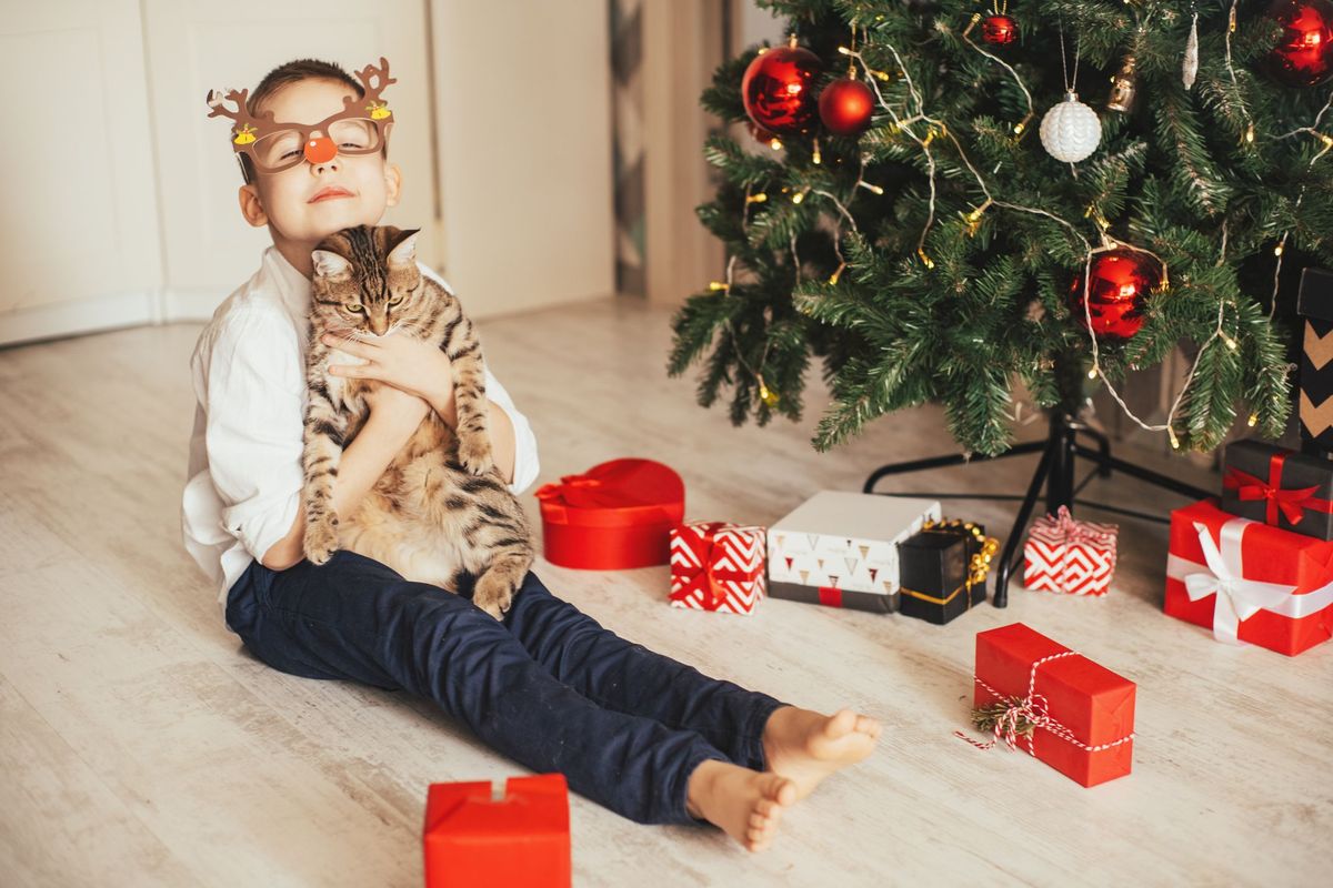 cat loving boy wearing reindeer glasses and holding a cat sitting among gifts under the christmas tree
