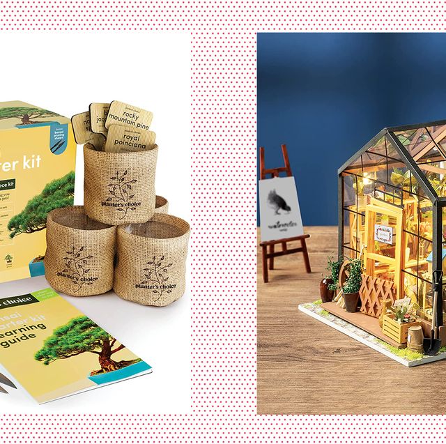 bonsai kit and mini house