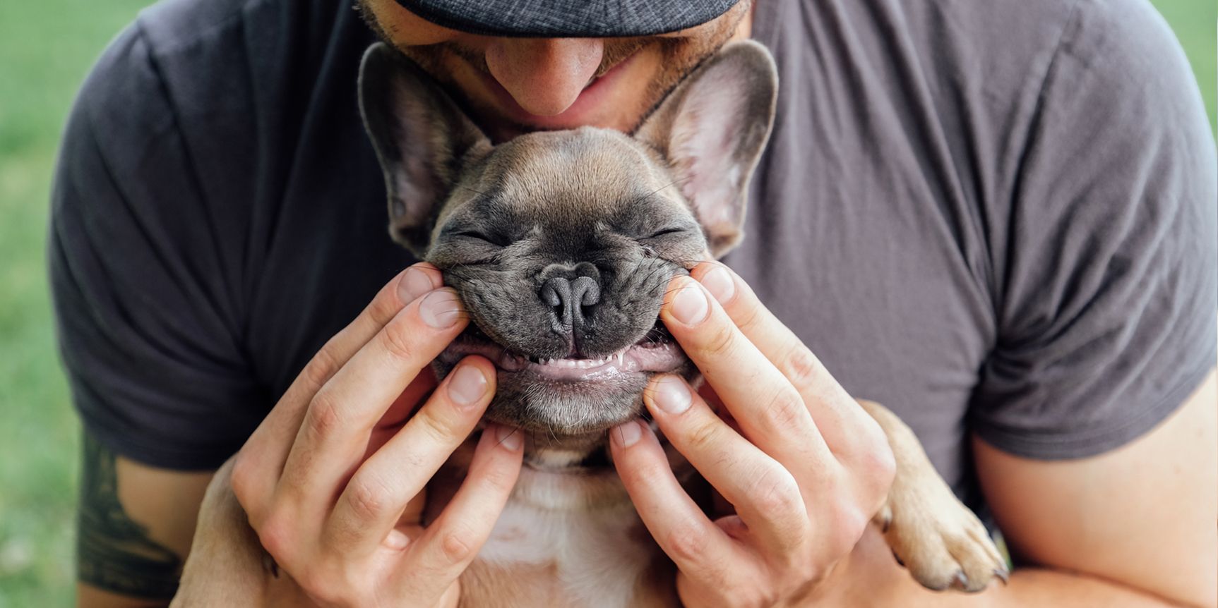 The 30 Best Gifts for Dog Lovers, According to Experts