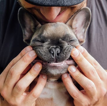 man scrunching up the face of his small dog so it looks like the dog is smiling