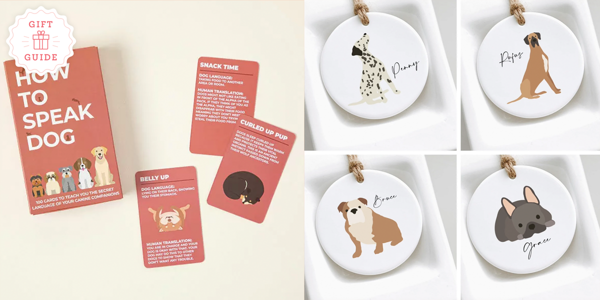 Gift ideas for dog owners best sale