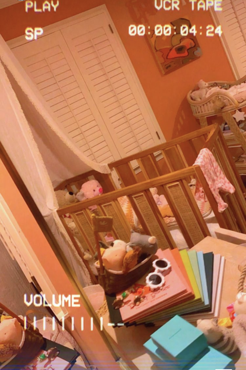 crib with stuffed animals, white canopy, colorful books
