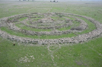 ancient stone structure arranged in spiral patterns on grassland