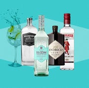 Best gins best gins