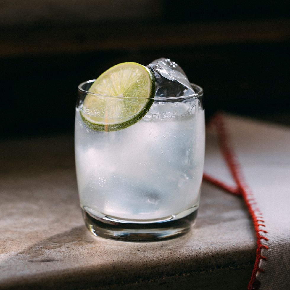 gin cocktails  gin recipes