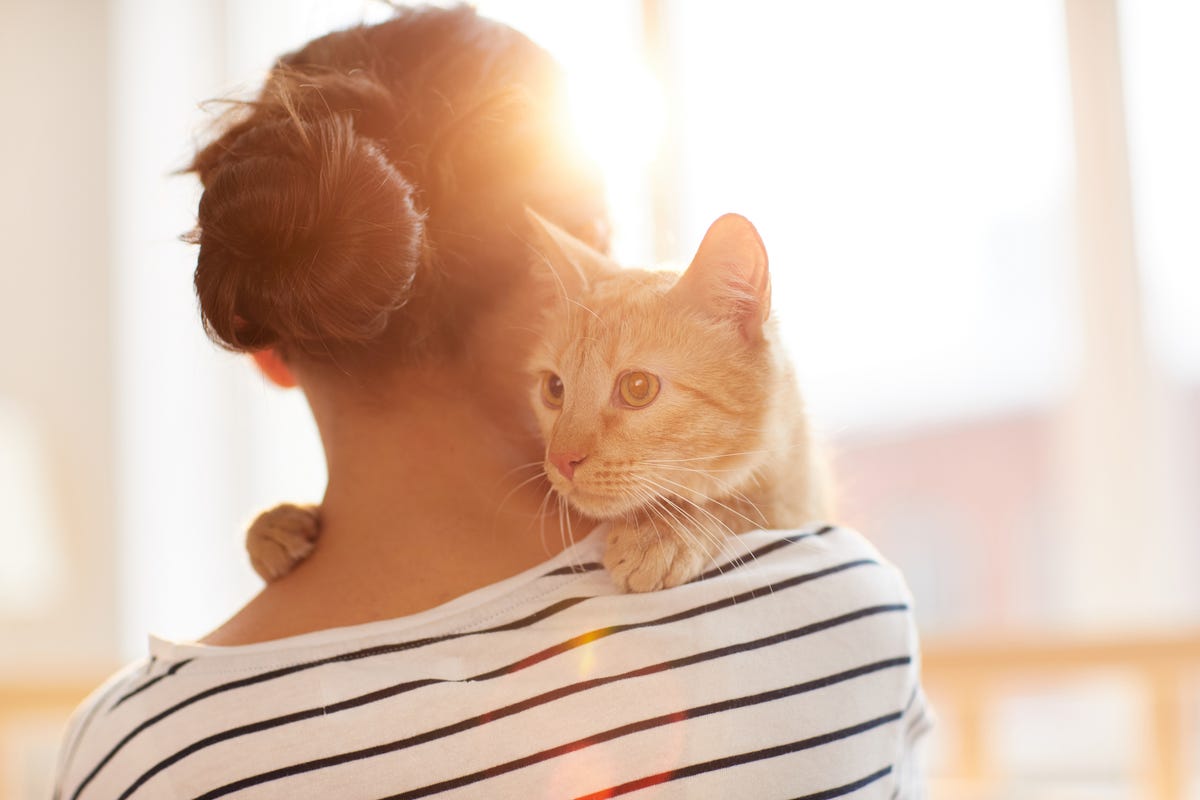 Yes, Your Pet Regulates Your Nervous System
