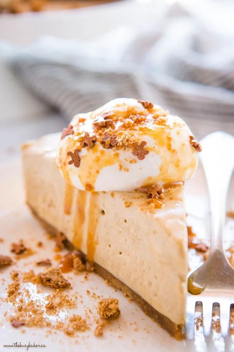 easy no bake gingerbread cheesecake with whipped cream