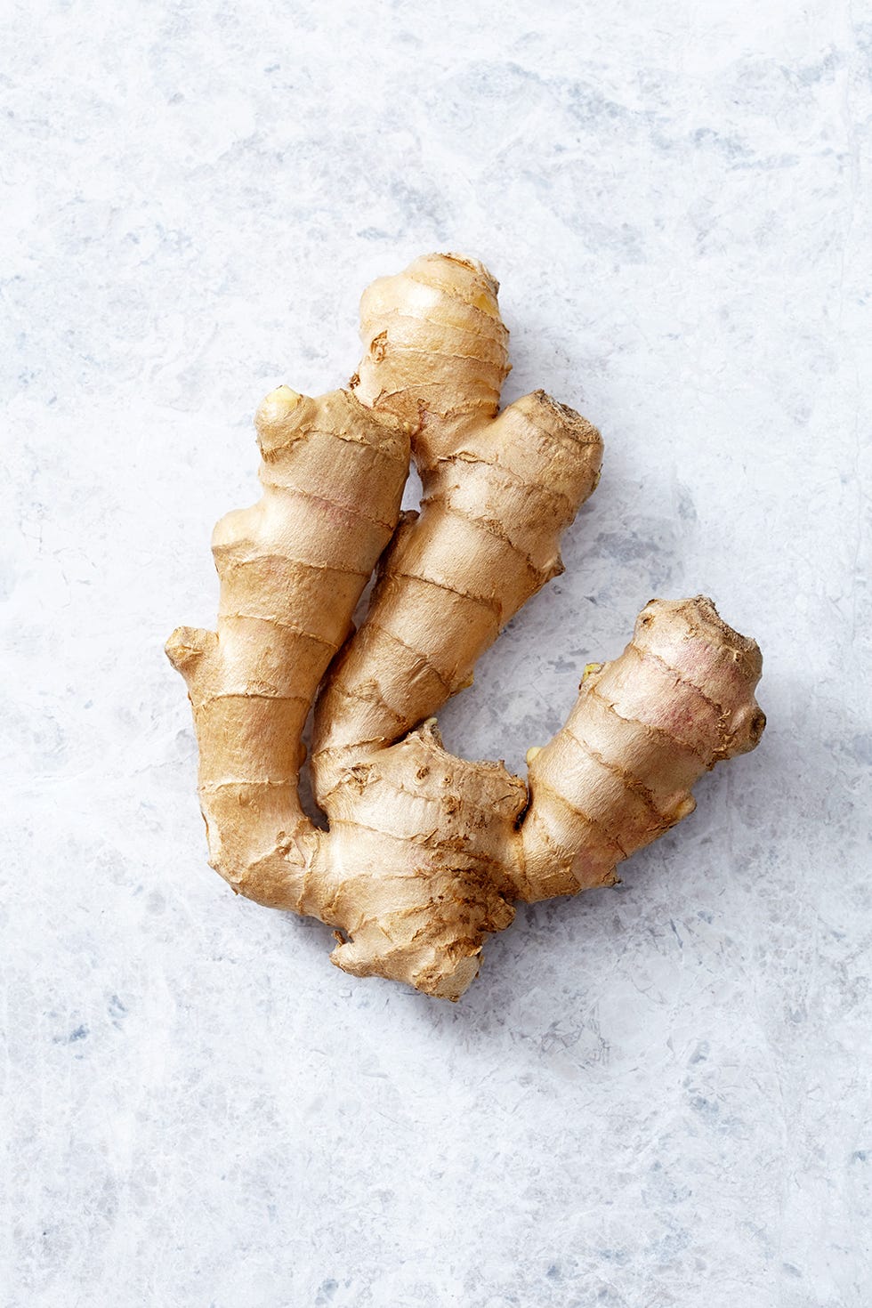 Ginger, Root vegetable, zedoary, Greater galangal, Tuber, Galangal, Jerusalem artichoke, Zingiber, Food, Herb, 