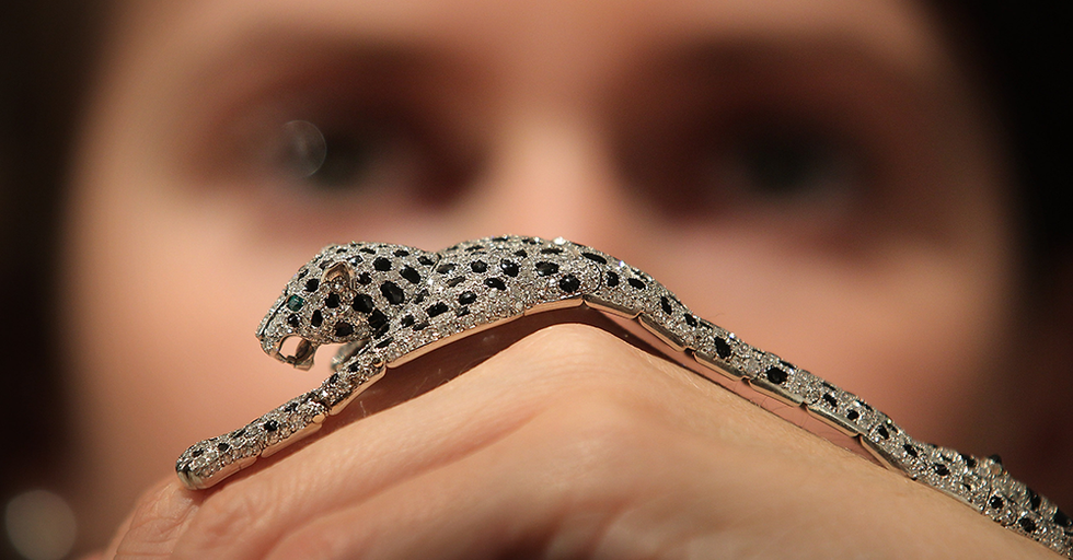 Reptile, Serpent, Close-up, Scaled reptile, Snake, Colubridae, Garter snake, Fashion accessory, 