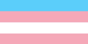 transgender pride community flag, lgbt symbol sexual minorities identity vector illustration