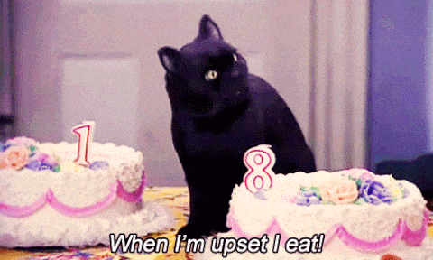 Cat, Cake, Cake decorating, Felidae, Food, Birthday cake, Birthday, Small to medium-sized cats, Baked goods, Sugar paste, 