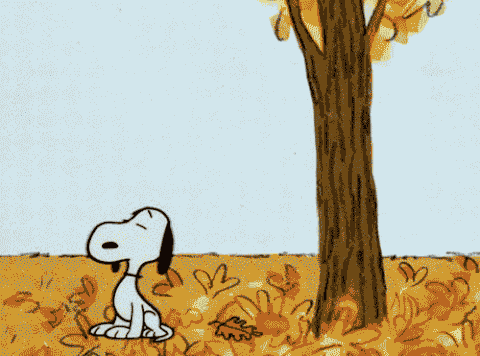 snoopy and leaves