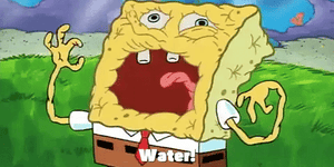 spongebob dehydrated