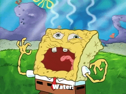 spongebob dehydrated