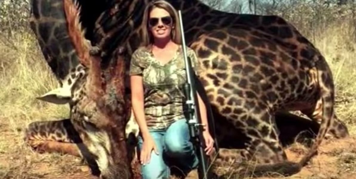 kentucky-south-africa-giraffe-kill-hunt-tess-thompson-talley