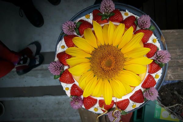 Yellow, Petal, Flower, Carmine, Floristry, Annual plant, Still life photography, Flower Arranging, Floral design, Walking shoe, 