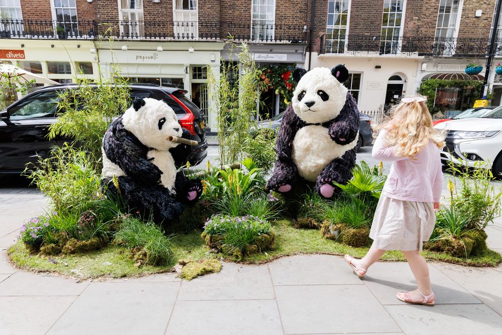 belgravia in bloom ‘into the wild’ themed installations