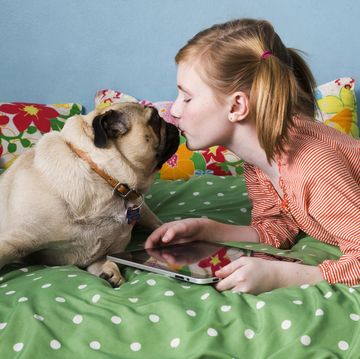 girl holding tablet pc while kissing dog