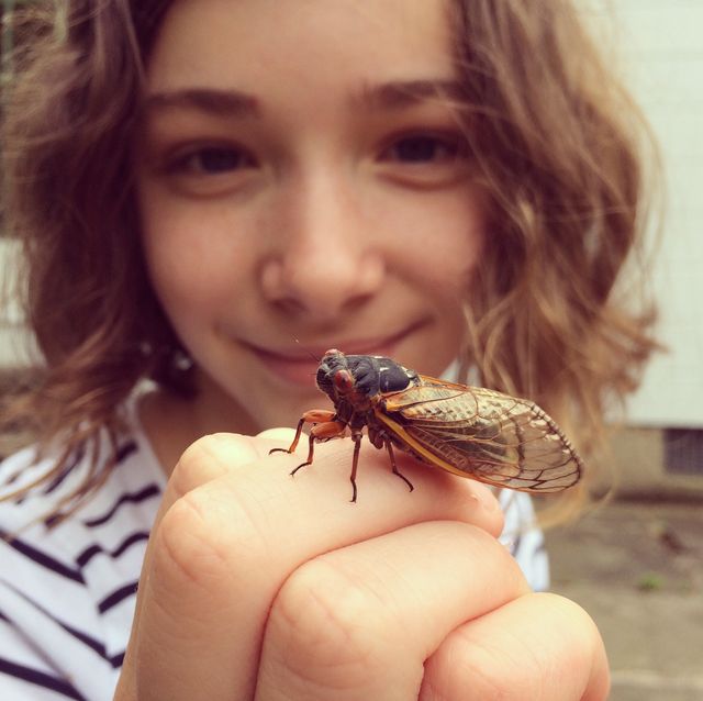 girl studying cicada