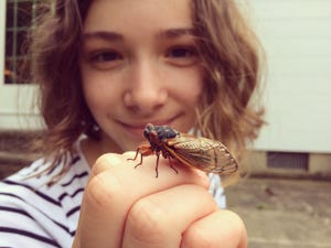 girl studying cicada