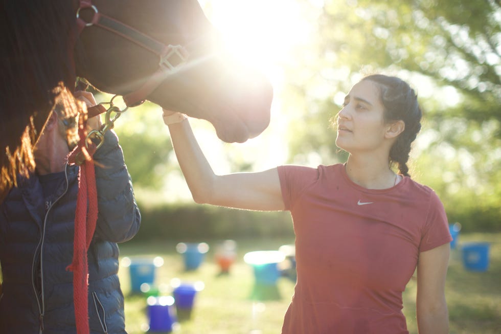 nicole teeny pets a horse