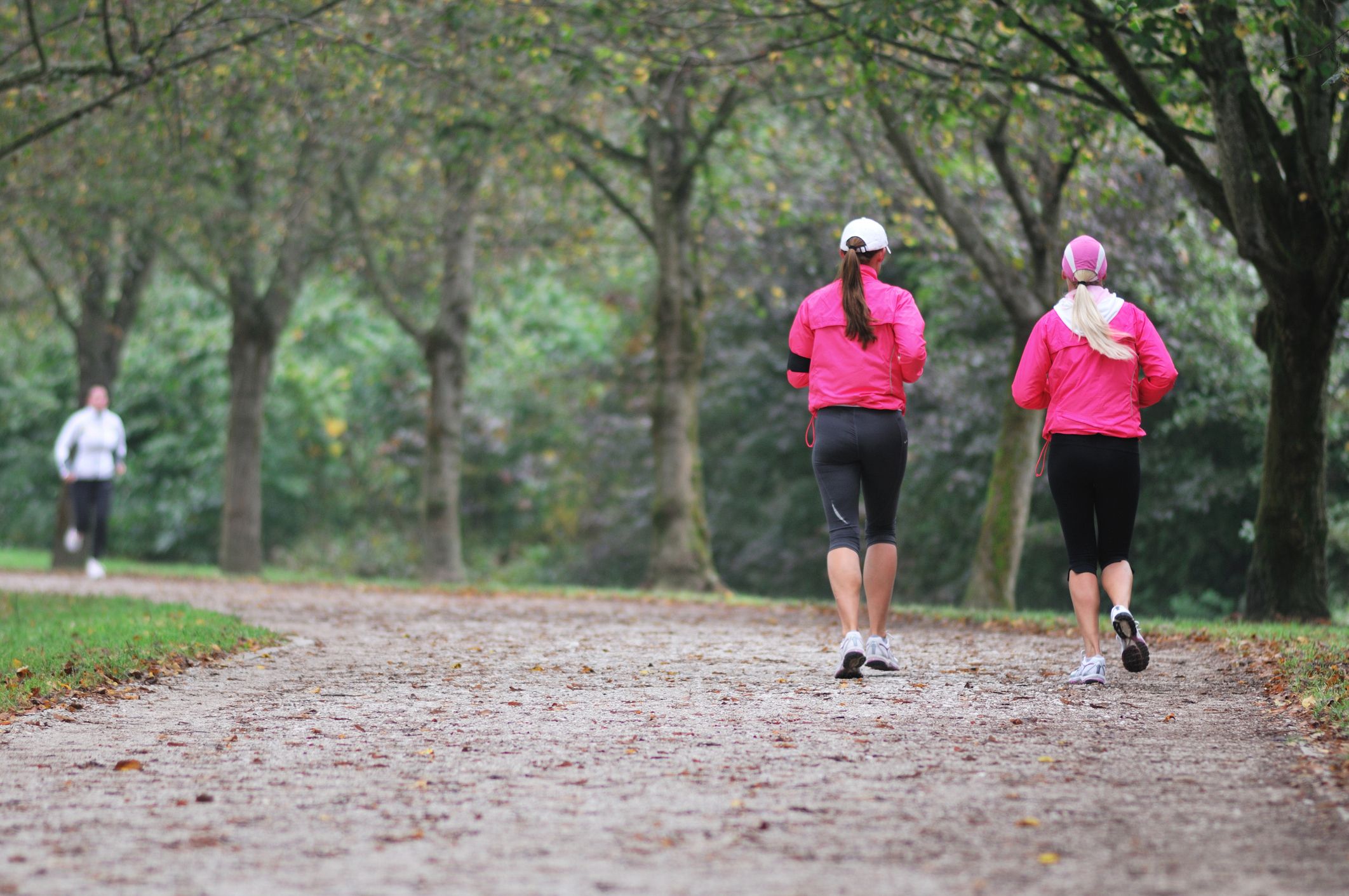 Sprinting vs. Jogging: Which is Best For Your Body? - Old School Labs