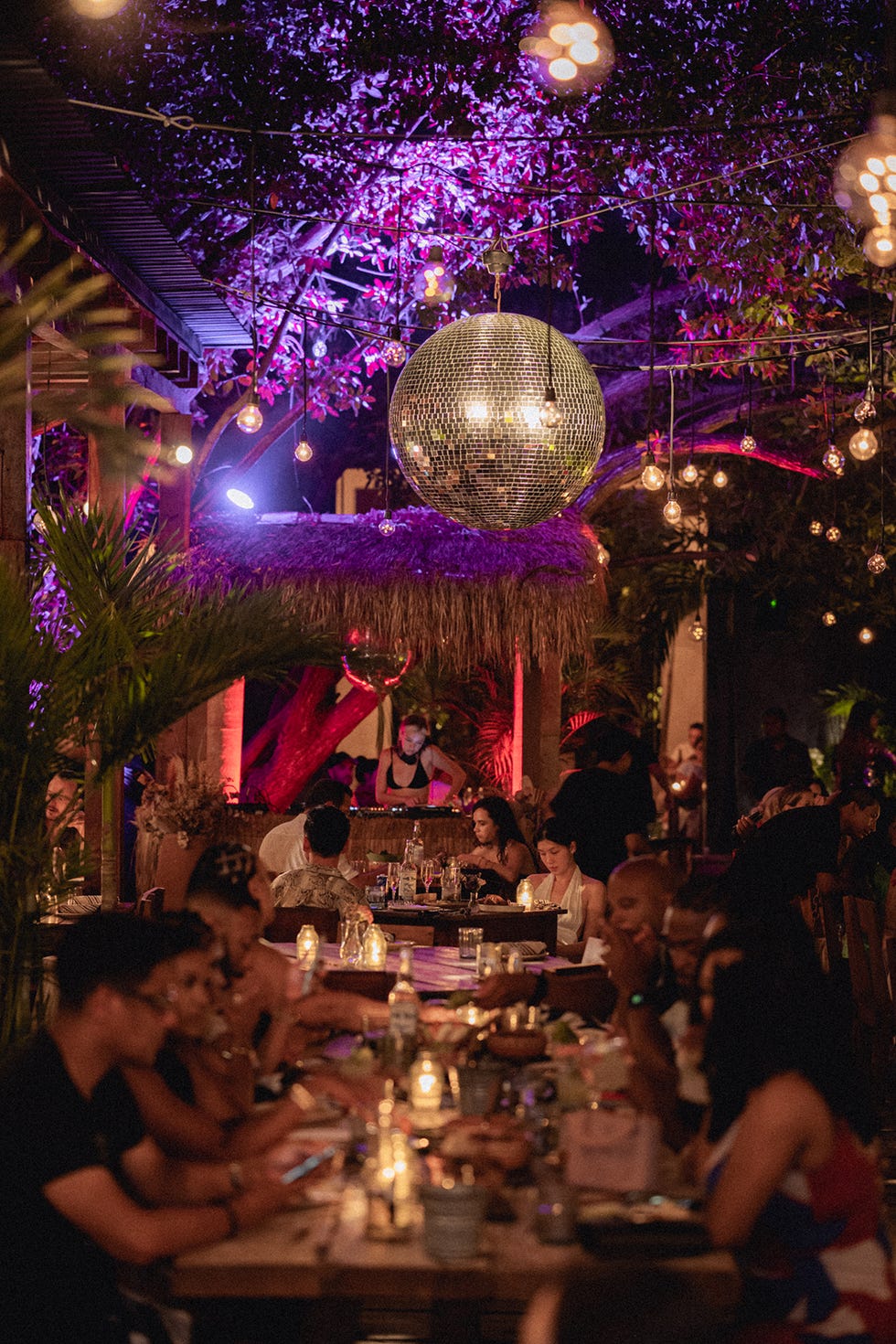 gitano jungle