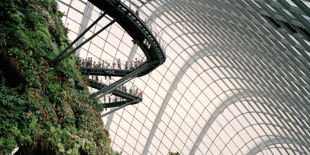 Ruim 15000 mensen werken op Changi Airport in Singapore waarmee ze jaarlijks meer dan 45 miljard dollar aan de economie bijdragen Deze grote broeikas in de Gardens by the Bay die het Cloud Forest Wolkenwoud wordt genoemd en op een kleine twintig kilometer van de luchthaven ligt behoort tot meerdere visionaire groenruimten in de stad