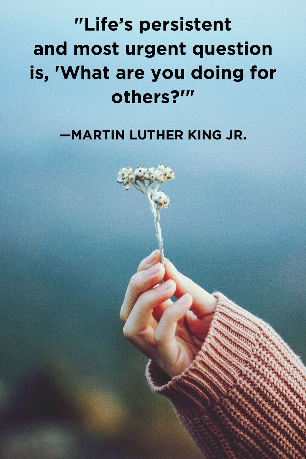 Giving Quotes MLK