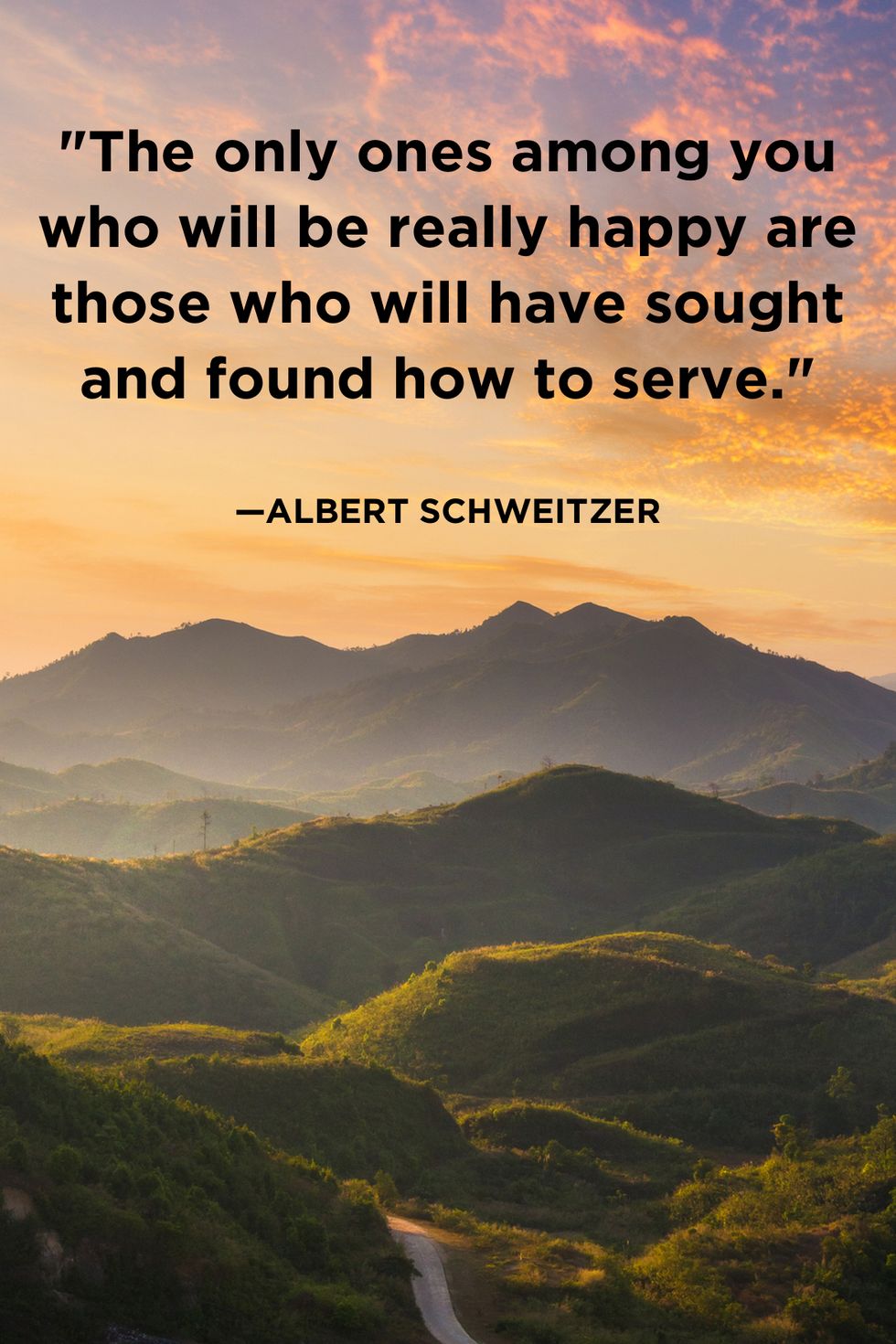 Giving Quotes Albert Schweitzer