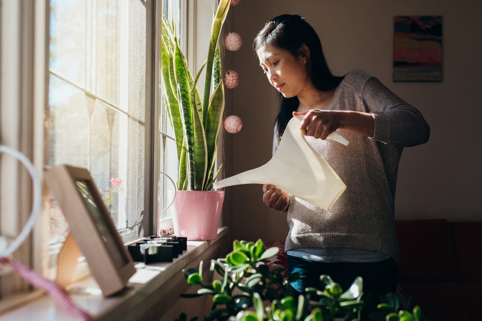 hobbies for women - Giving the plants a drink