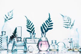 sustainable perfume
