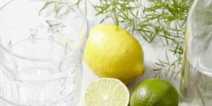 A glass of iced water with lemons and limes