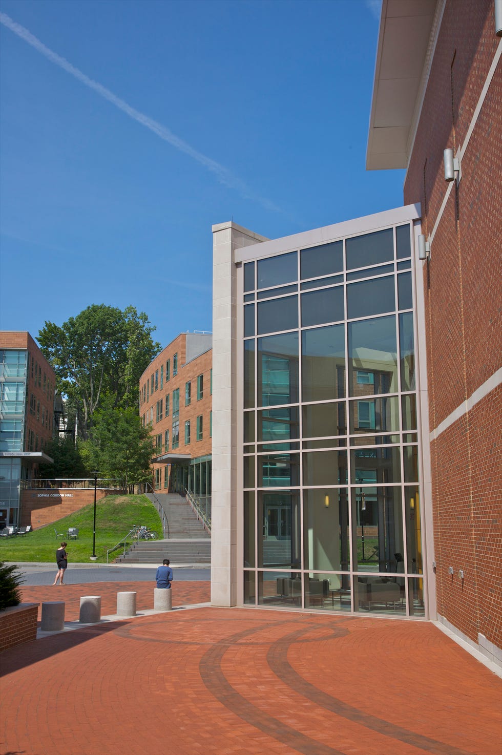 glass wall of contemporary university building