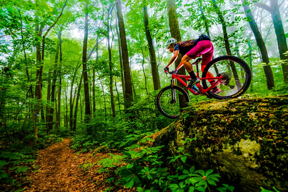 yeti betty mountain bike