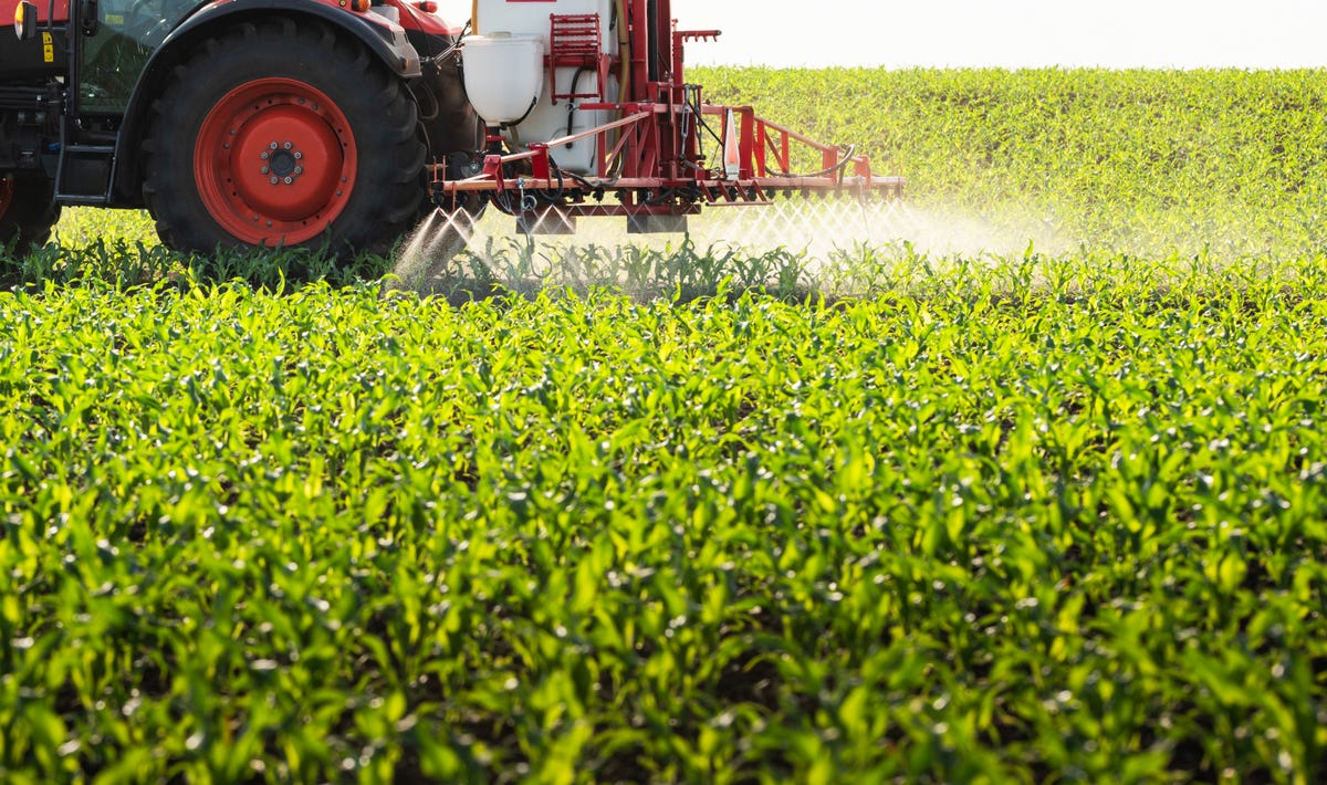 What You Need to Know About Glyphosate and Your Health