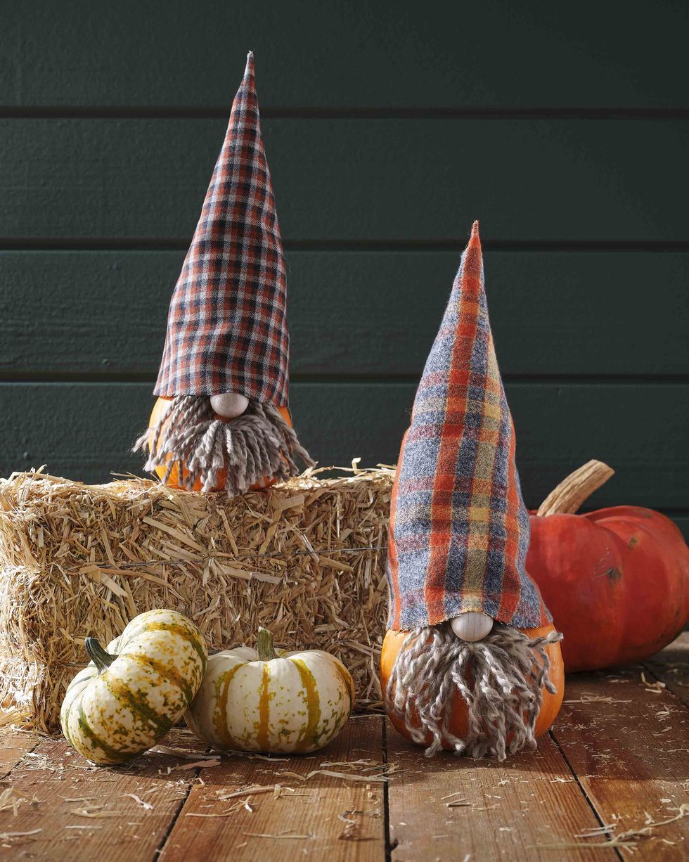 small gnome pumpkins with plaid wool hats and yarn beards