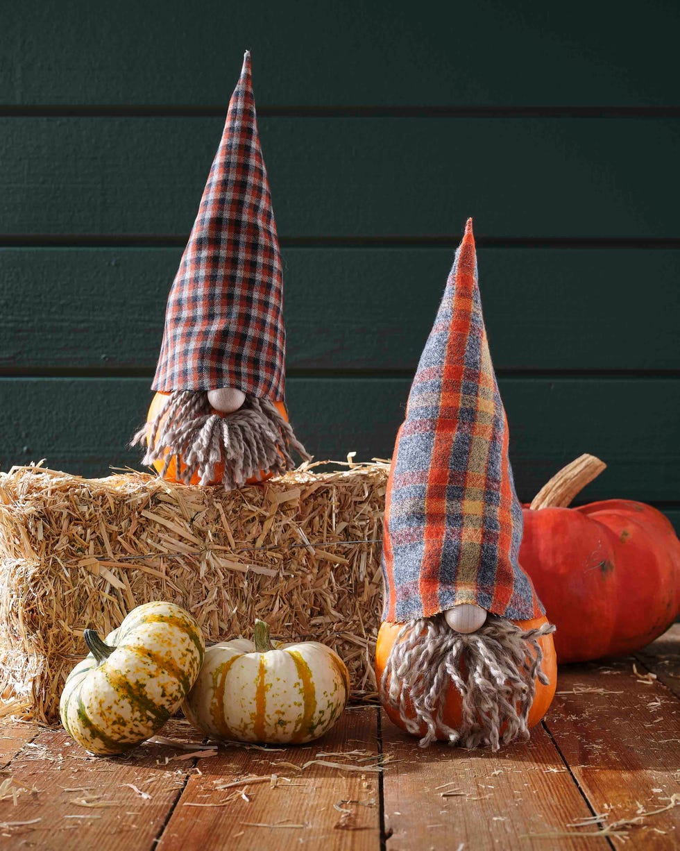 small gnome pumpkins with plaid wool hats and yarn beards