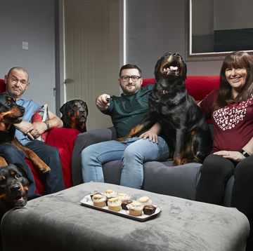 tom, julie and shaun malone sit on the sofa with their dogs in a gogglebox promo photo