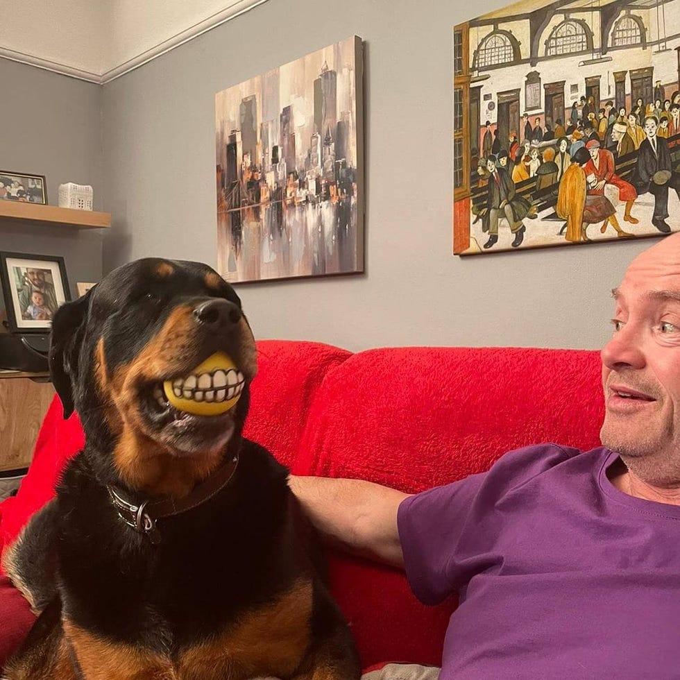 gogglebox tom malone sr and dog izzie on the sofa