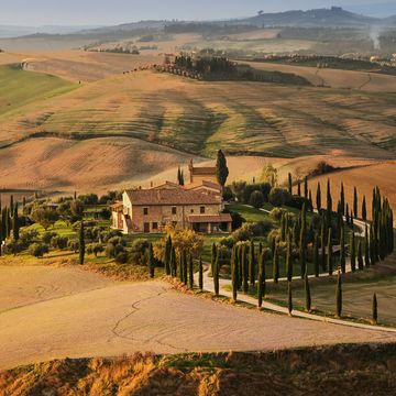 golden autumn in val d'orcia, tuscany italy tuscany landscape europa